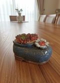 Succulent Mary Jane Charm Violet Planter - Pink Ruby - SlowBloomGreens
