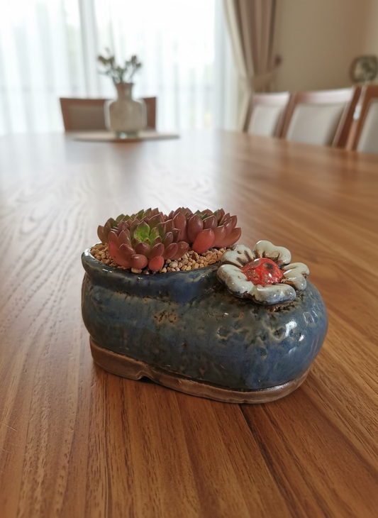 Succulent Mary Jane Charm Violet Planter - Pink Ruby