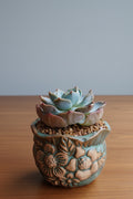 Vintage Teal Succulent Planter – Echeveria 'Bluebird' - SlowBloomGreens
