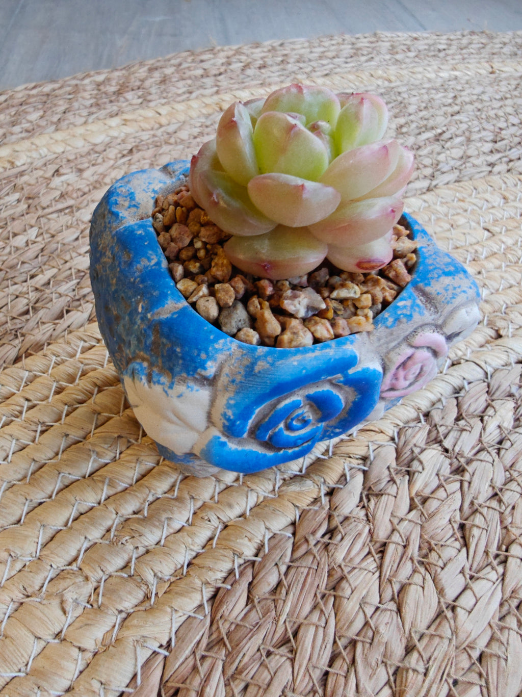 Rustic Bloom Succulent Planter – Echeveria hybrid - SlowBloomGreens