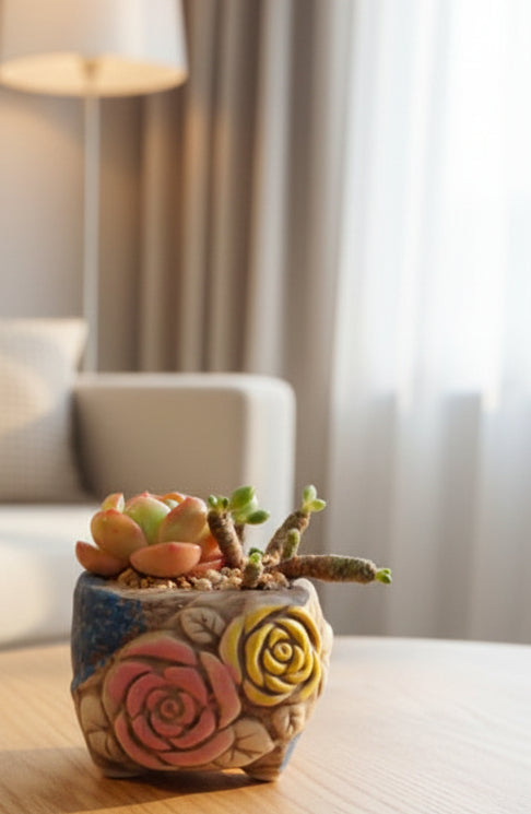 Rustic Bloom Succulent Planter – Echeveria 'Star Jelly'