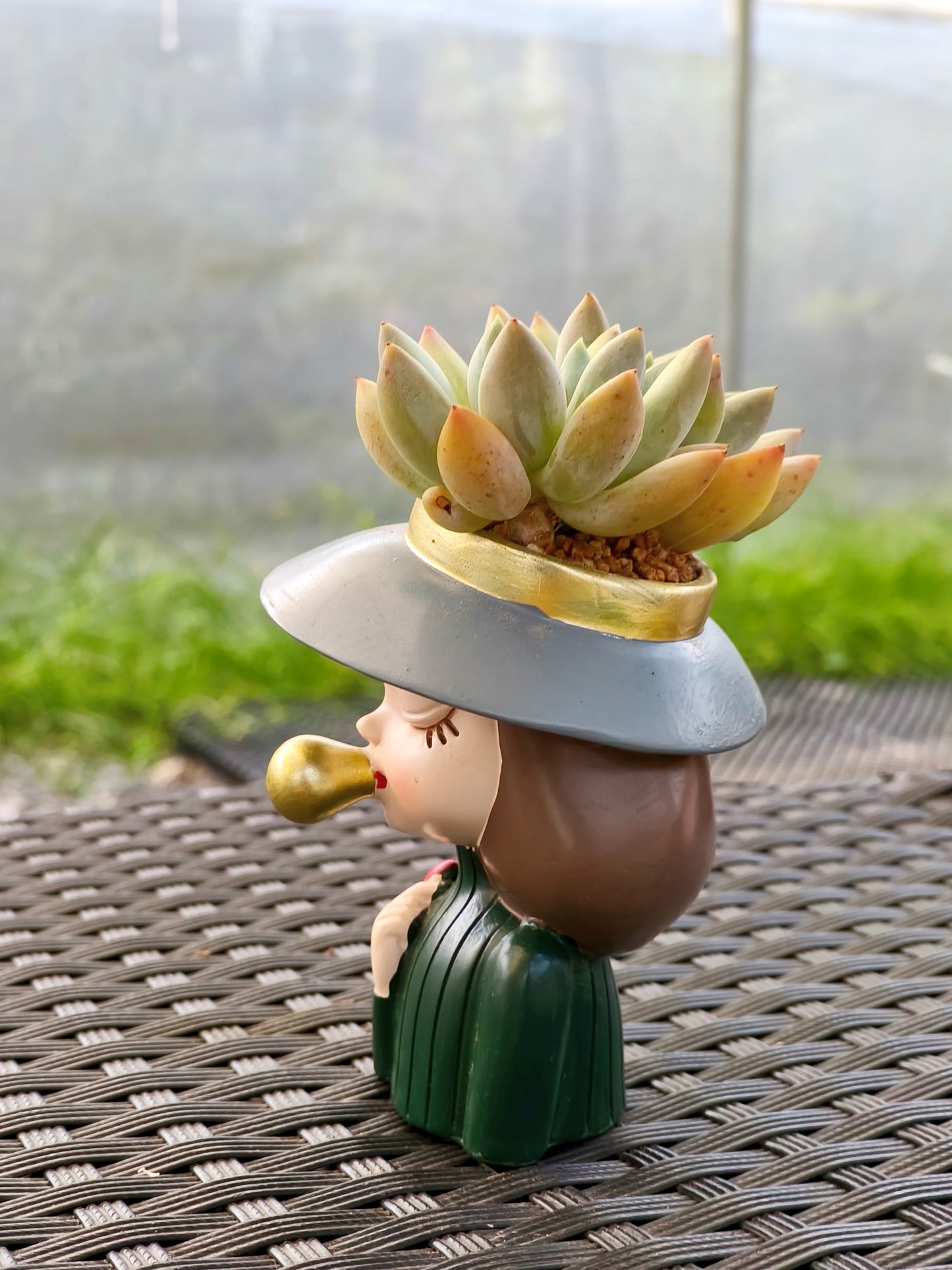 Succulent Girl Planter – Blowing Love with Pachyphytum 'Sky Beauty'