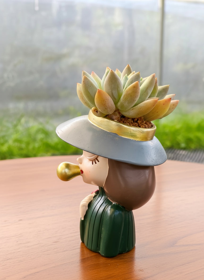 Succulent Girl Planter – Blowing Love with Pachyphytum 'Sky Beauty' - SlowBloomGreens