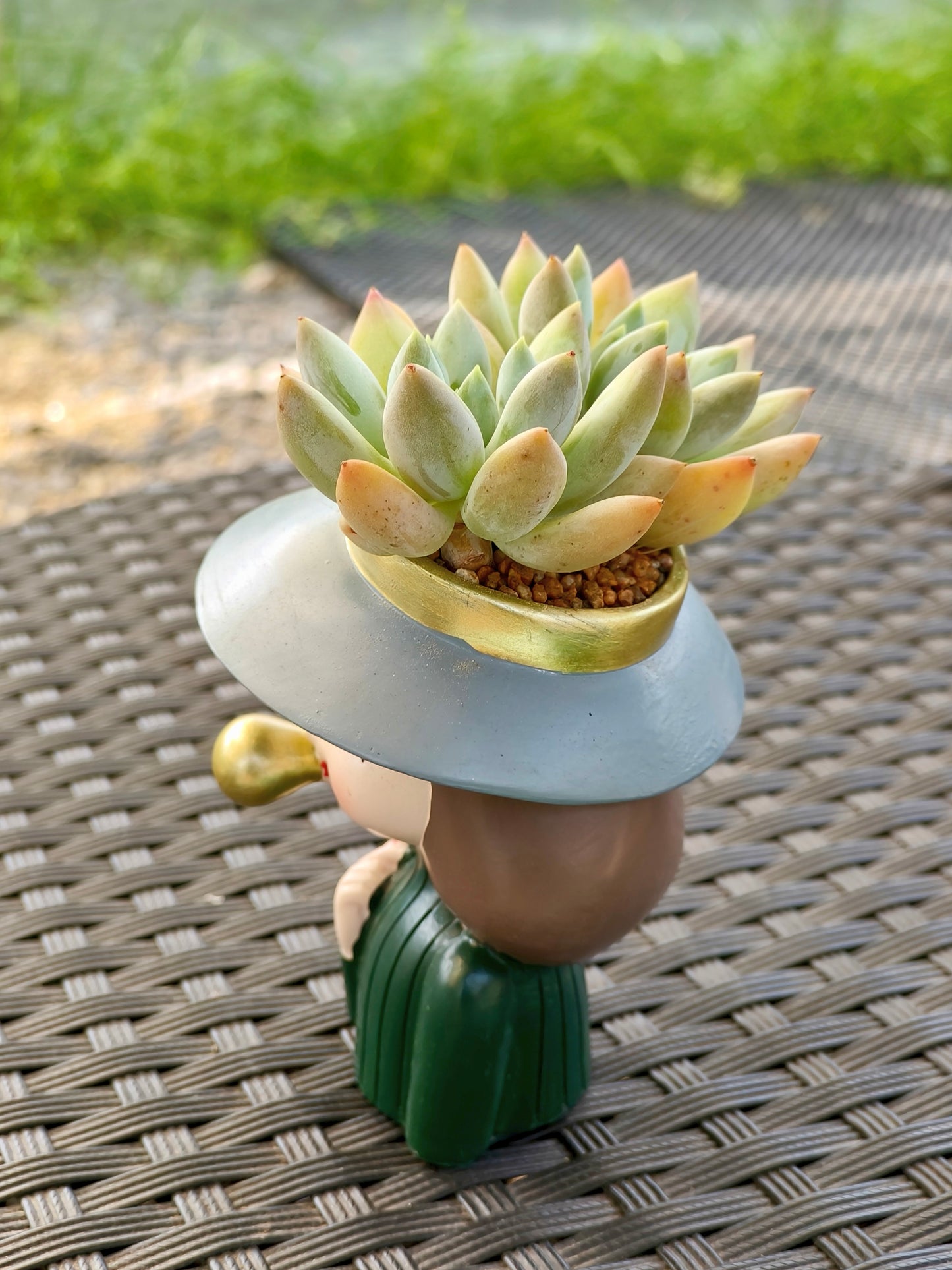 Succulent Girl Planter – Blowing Love with Pachyphytum 'Sky Beauty'