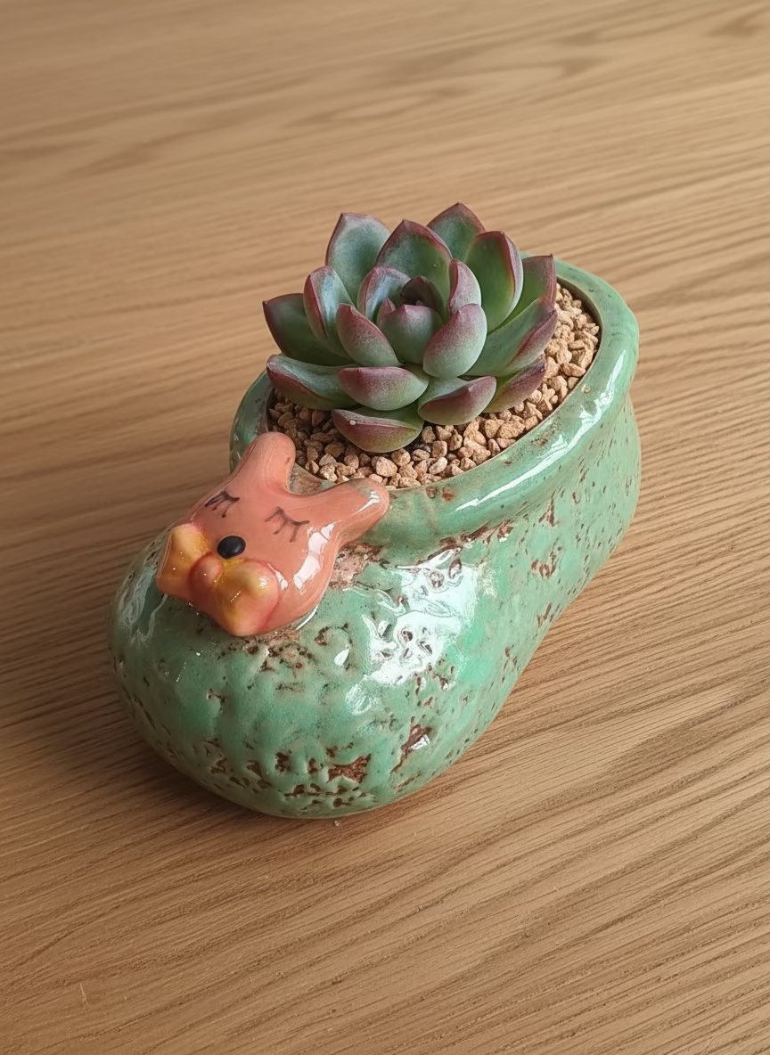 Succulent Mary Jane Charm Green Planter – Echeveria Suryeon
