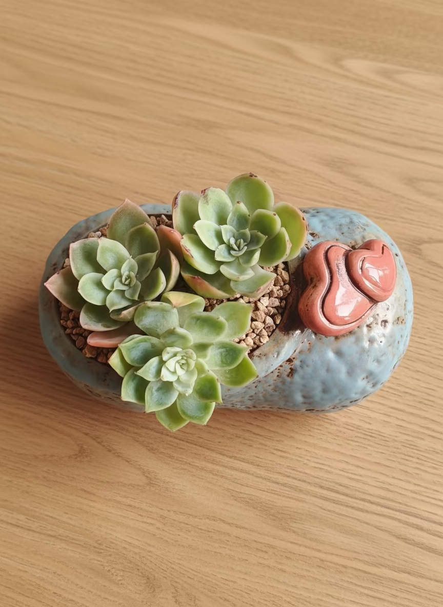 Succulent Mary Jane Charm Blue Planter – Echeveria Peach Pride - SlowBloomGreens