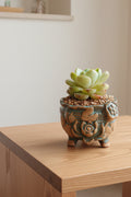 Vintage Teal Succulent Planter – Echeveria Elegans