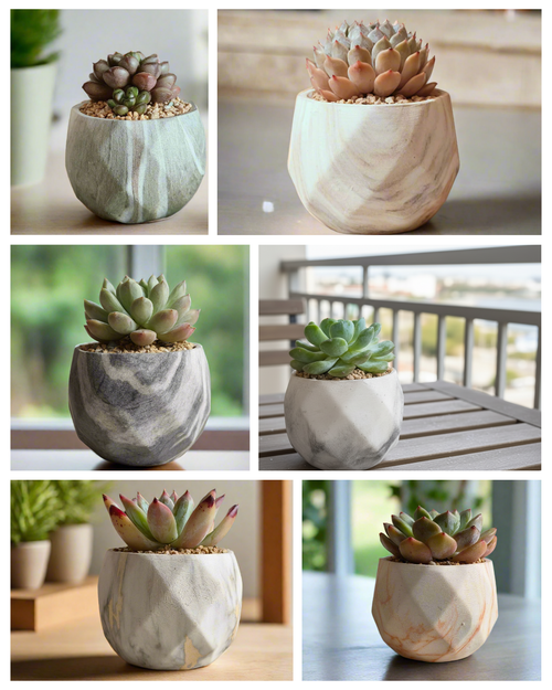 Classic Marble Planters – Mother’s Day Gift - SlowBloomGreens