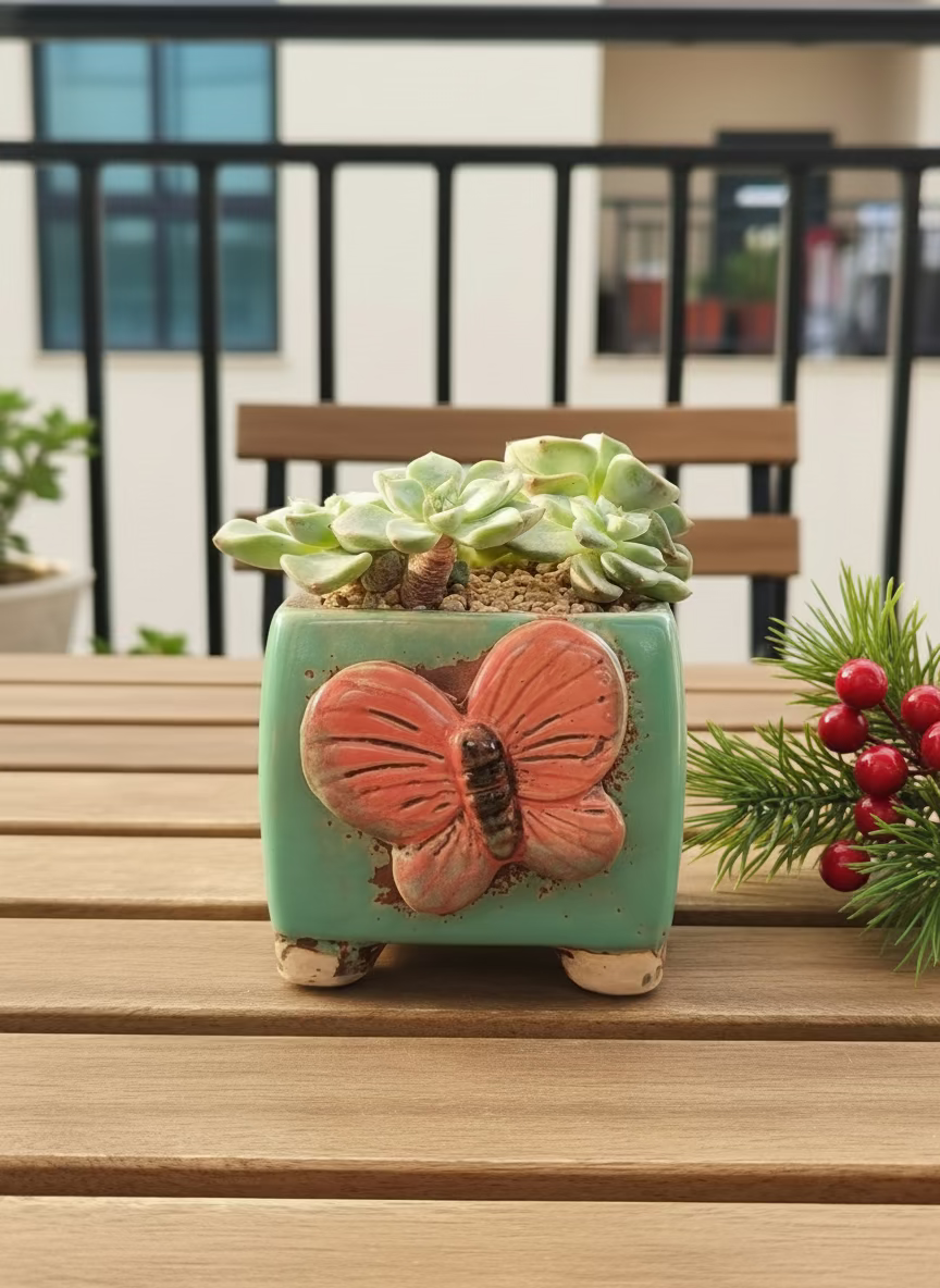 Succulent Ceramic Butterfly Square Teal Planter – Graptoveria 'Titubans'