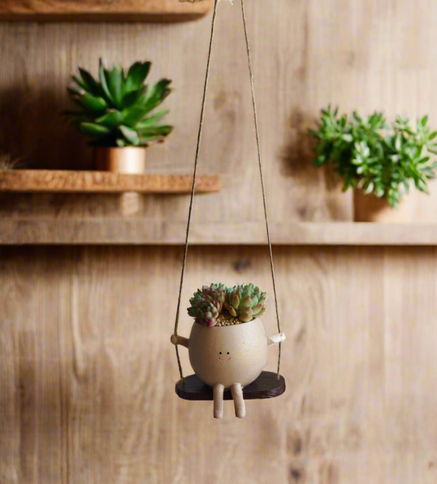 Succulent Hanging Joy Planter – Echeveria Desert Rose