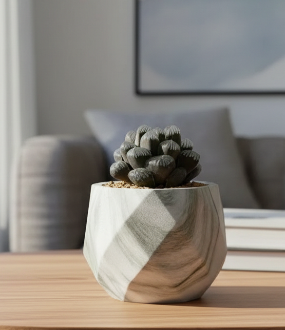 Succulent Classic Marble Green Planter - Hawthoria Cooperi 'Ice Lantern - SlowBloomGreens