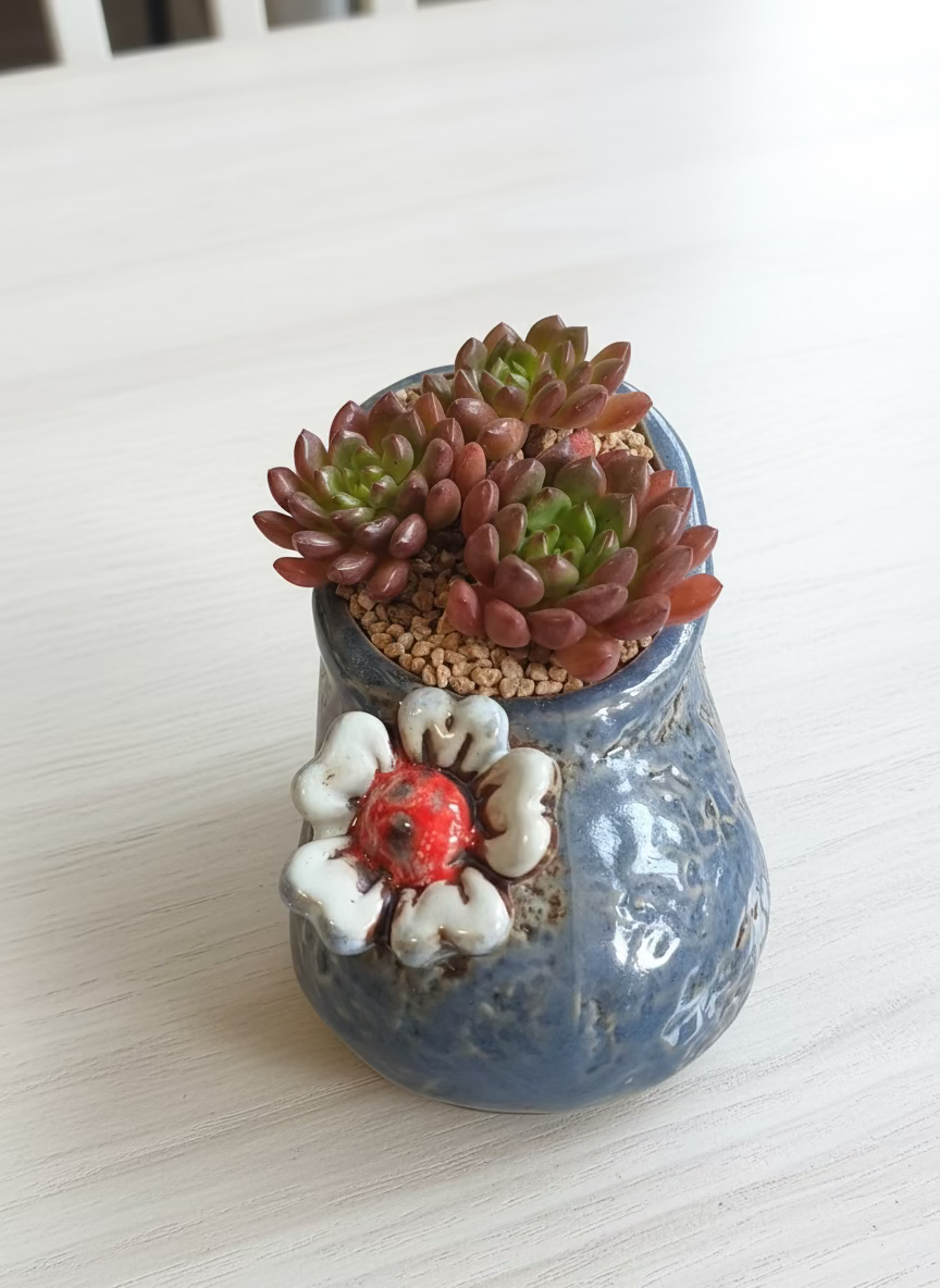 Succulent Mary Jane Charm Violet Planter - Pink Ruby