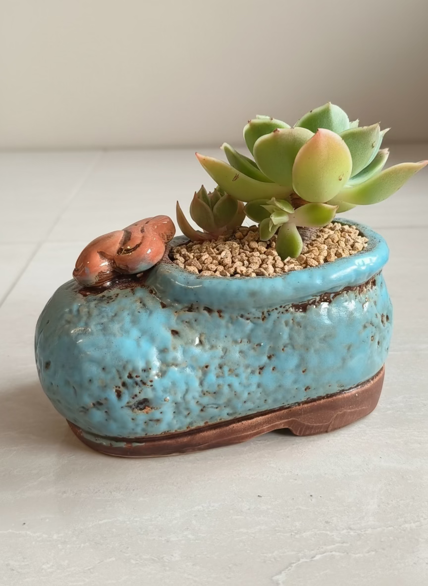 Succulent Mary Jane Charm Blue Planter – Echeveria Agavoides - SlowBloomGreens