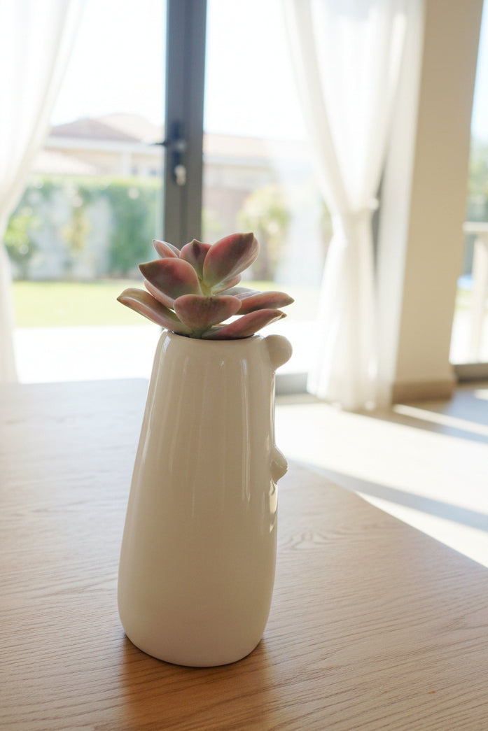 Succulent Polar Bear Bud Vase – Variegated Graptopetalum ‘Purple Delight’ - SlowBloomGreens