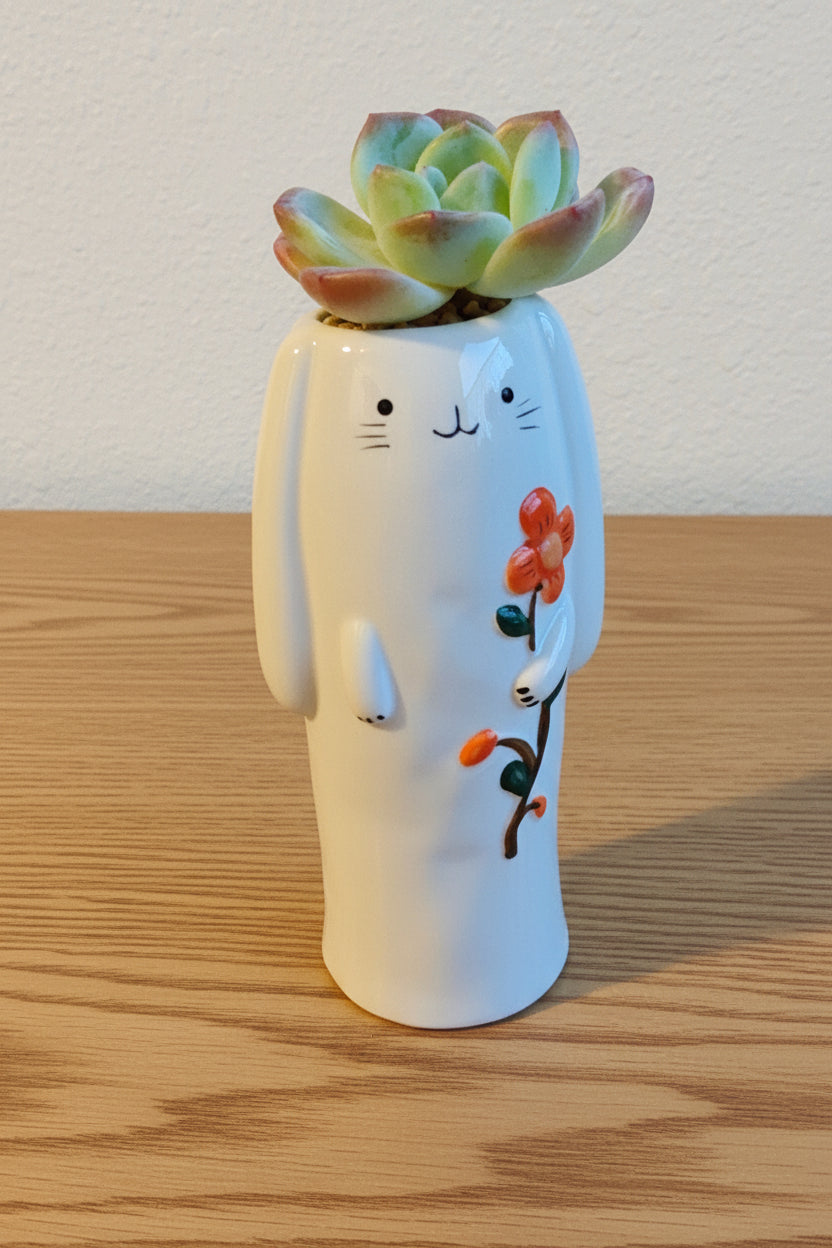 Succulent Bunny Bud Vase – Echeveria hybrid