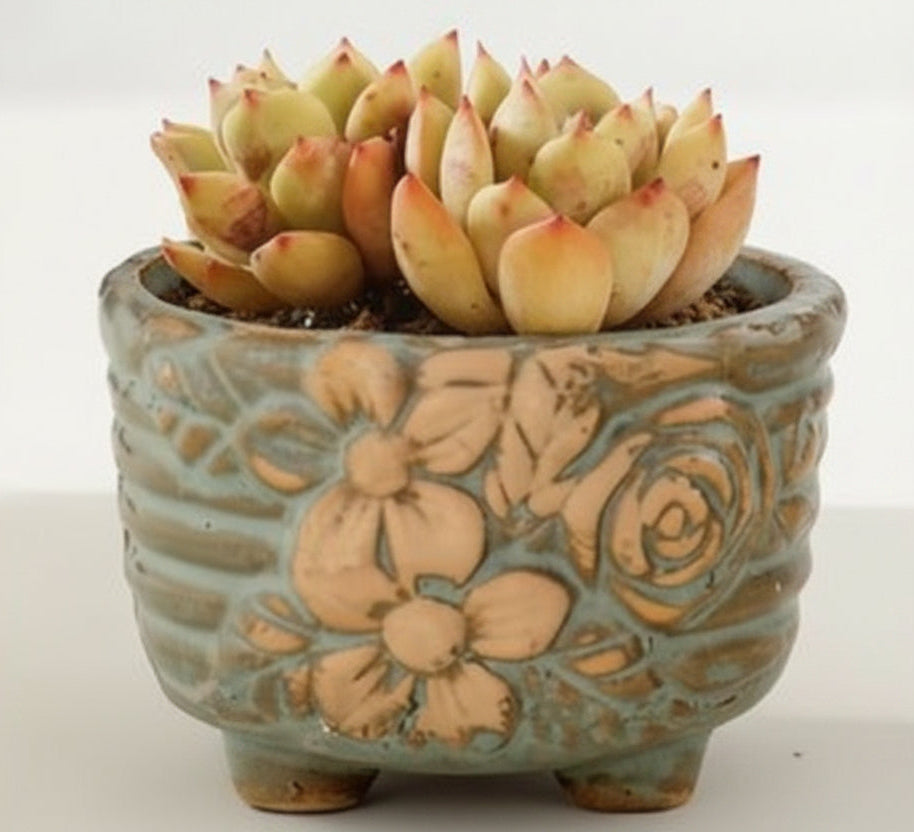 Vintage Teal Succulent Planters – Mother’s Day Gift