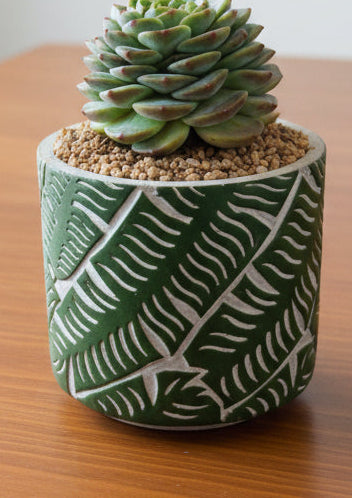 Succulent Whispering Leaves Planter – Echeveria 'Red Velvet'