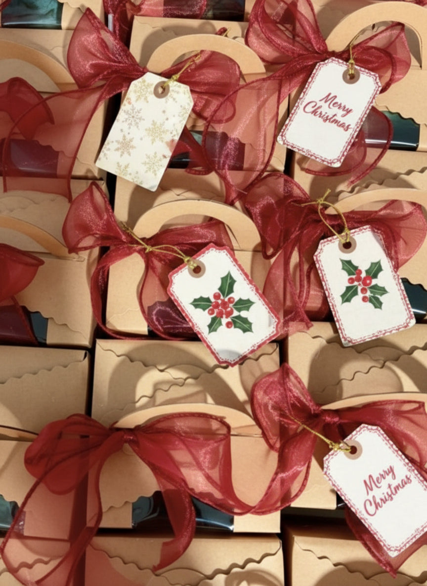 Succulent in Santa Boot | Festive Christmas Gift - Assorted Succulent - SlowBloomGreens