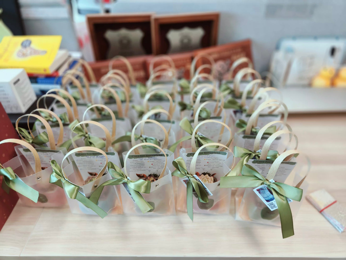 Succulent Serene Square Pots- Gift Favors (6 in a set)