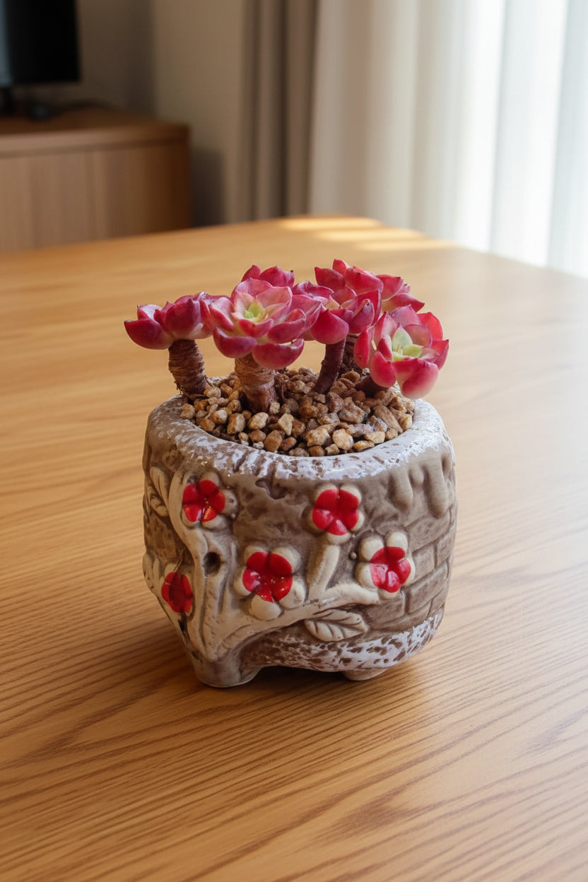 Rustic Bloom Succulent Planter – Sedeveria 'Letizia'