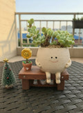 Succulent Happy Buddy Planter – Tiscalatengo Gorge Sedum - SlowBloomGreens