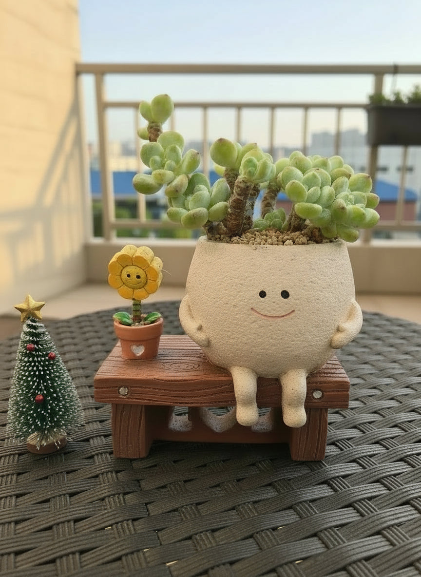 Succulent Happy Buddy Planter – Tiscalatengo Gorge Sedum - SlowBloomGreens