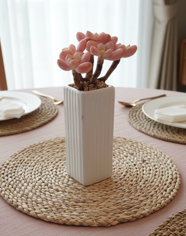 Succulent Ribbed White Planter – Pink Moonstone - SlowBloomGreens