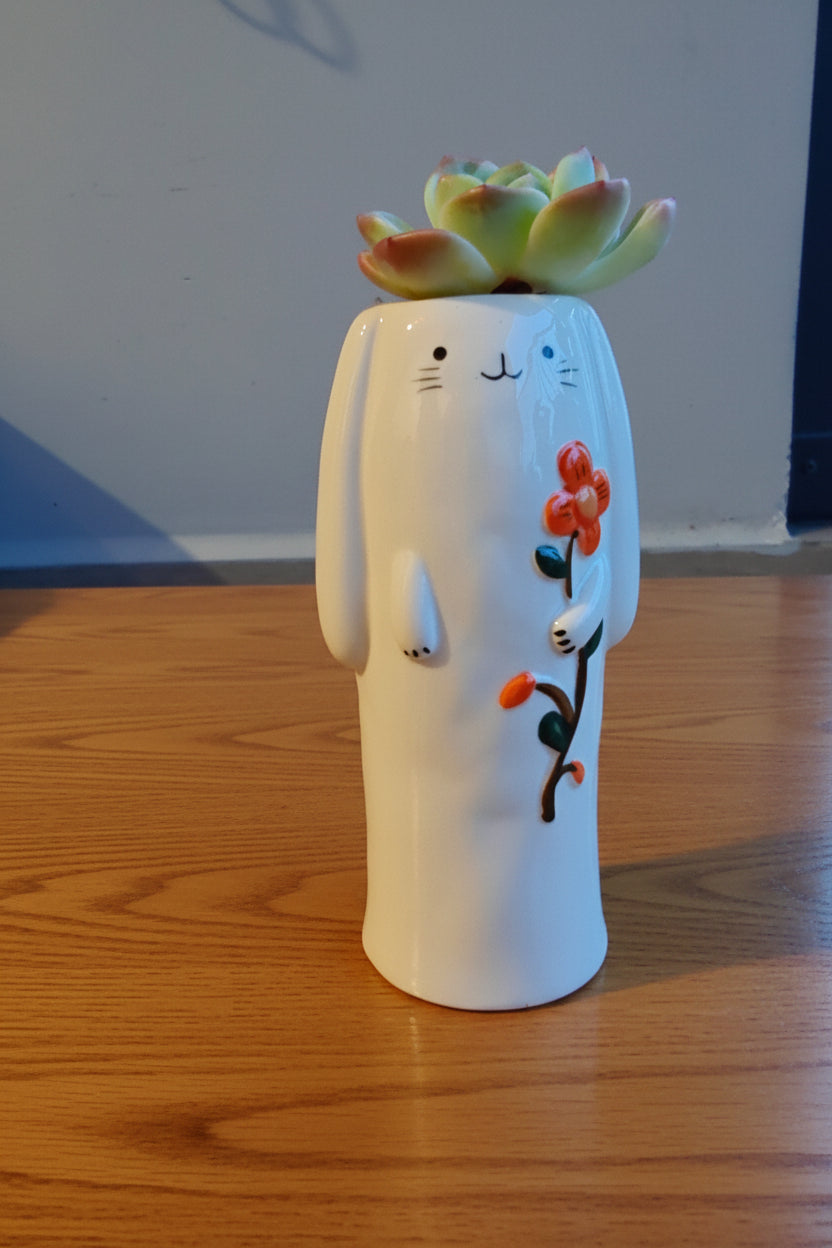Succulent Bunny Bud Vase – Echeveria hybrid