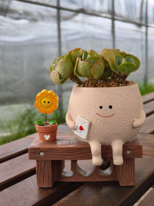 Succulent Love Note Planter 💌 with Echeveria 'Peach Pride'