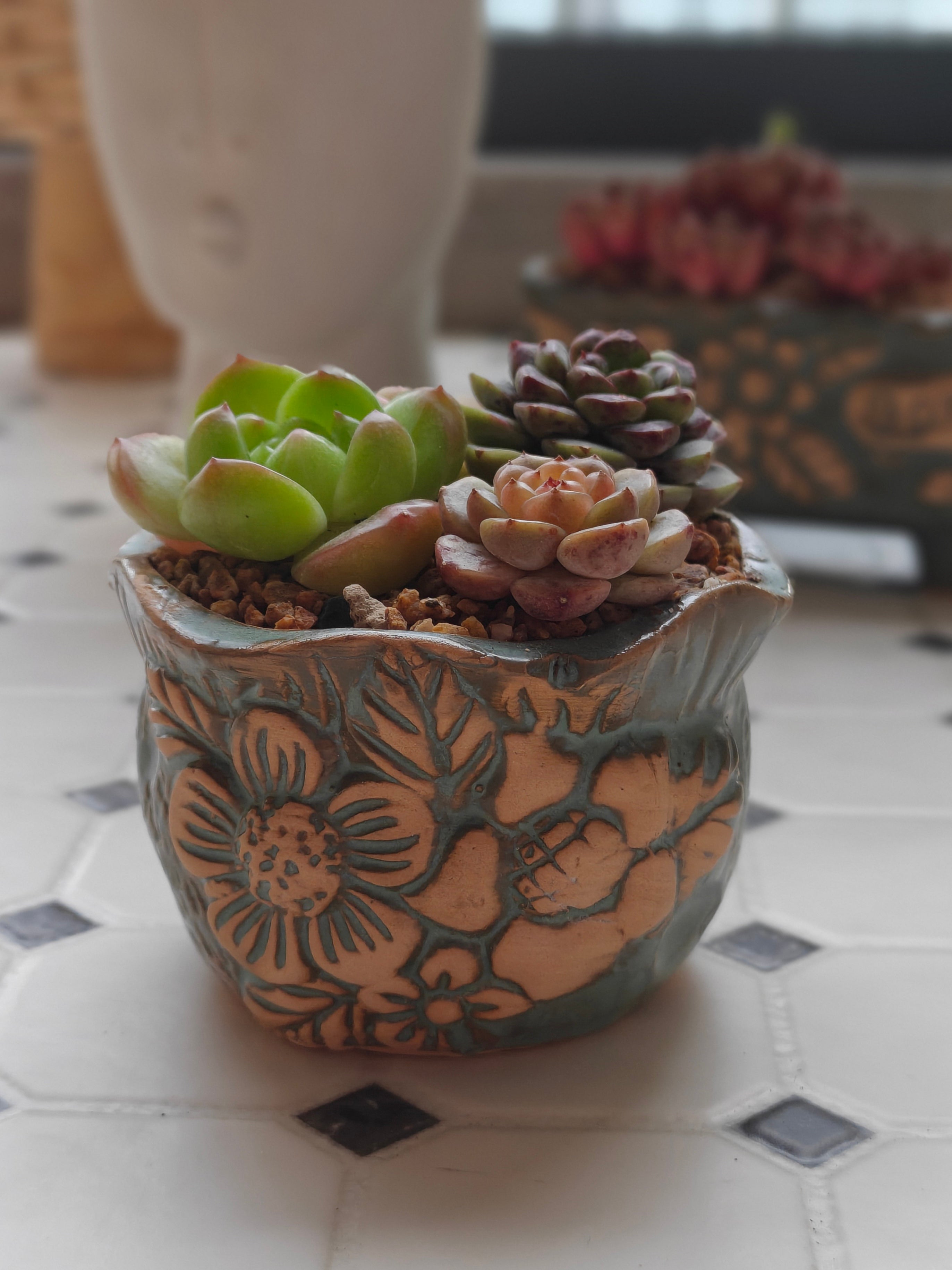 Vintage Teal Succulent Planter – Assorted Succulents