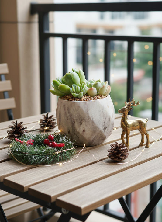 Succulent Classic Marble Brown Planter – Echeveria 'Lime n Chili'