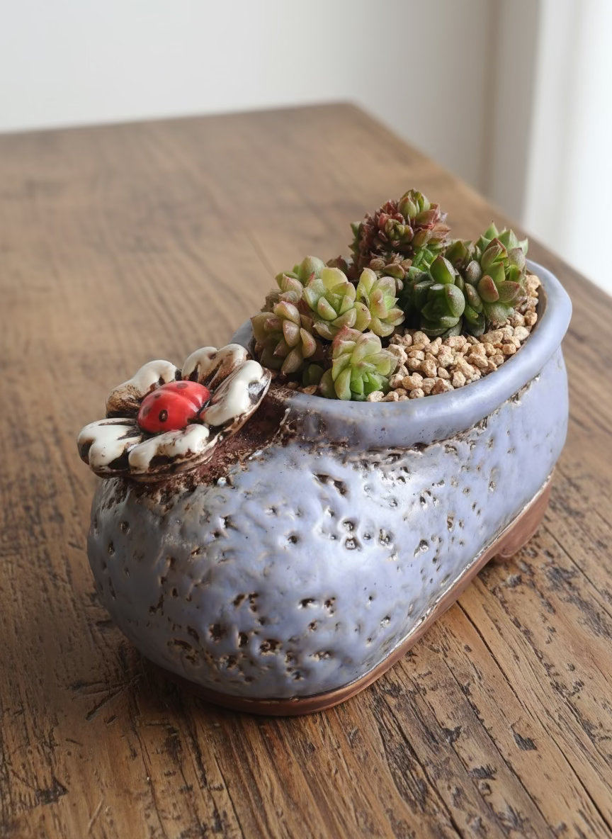 Succulent Mary Jane Charm Violet Planter - Cremnosedum 'Little Gem' - SlowBloomGreens