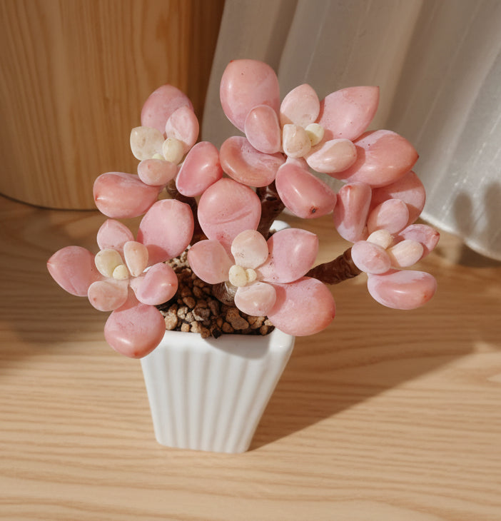 Succulent Ribbed White Planter – Pink Moonstone - SlowBloomGreens