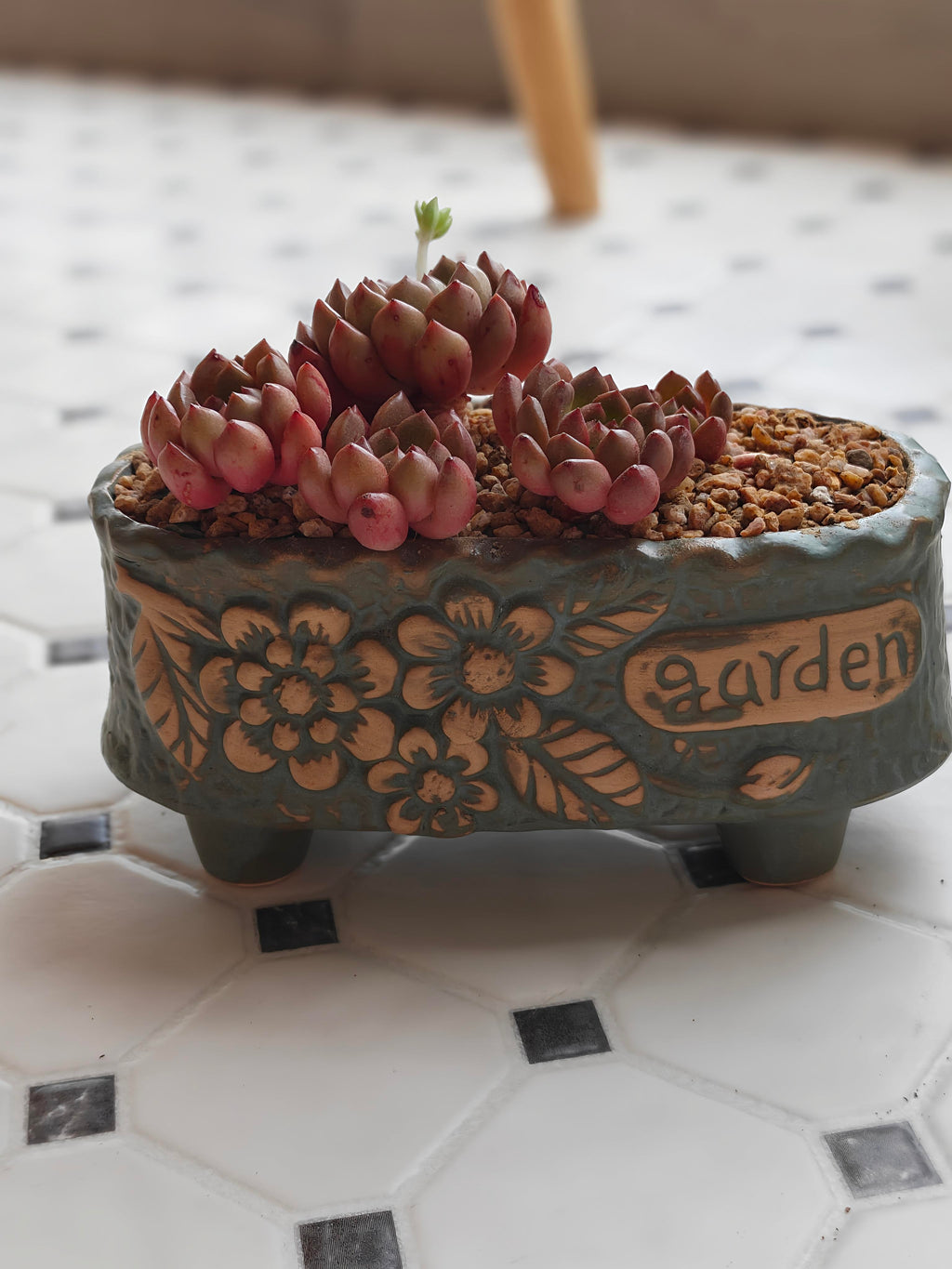 Vintage Teal Succulent Planter – Sedeveria 'Pink Ruby' - SlowBloomGreens
