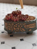 Vintage Teal Succulent Planter – Sedeveria 'Pink Ruby' - SlowBloomGreens