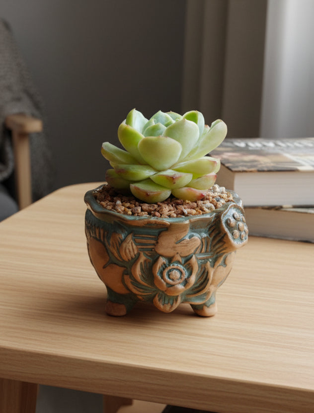 Vintage Teal Succulent Planter – Echeveria Elegans