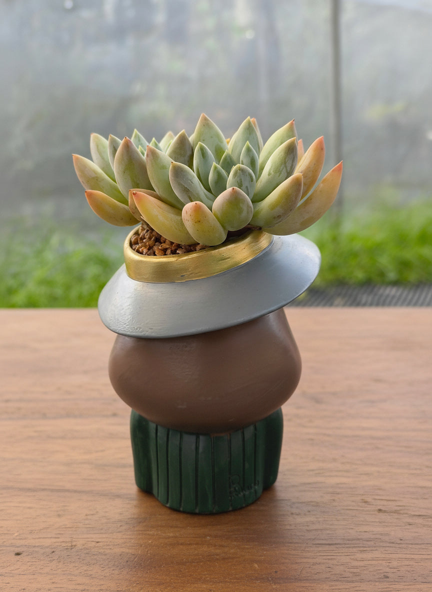 Succulent Girl Planter – Blowing Love with Pachyphytum 'Sky Beauty' - SlowBloomGreens