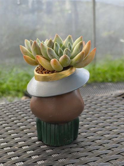 Succulent Girl Planter – Blowing Love with Pachyphytum 'Sky Beauty'