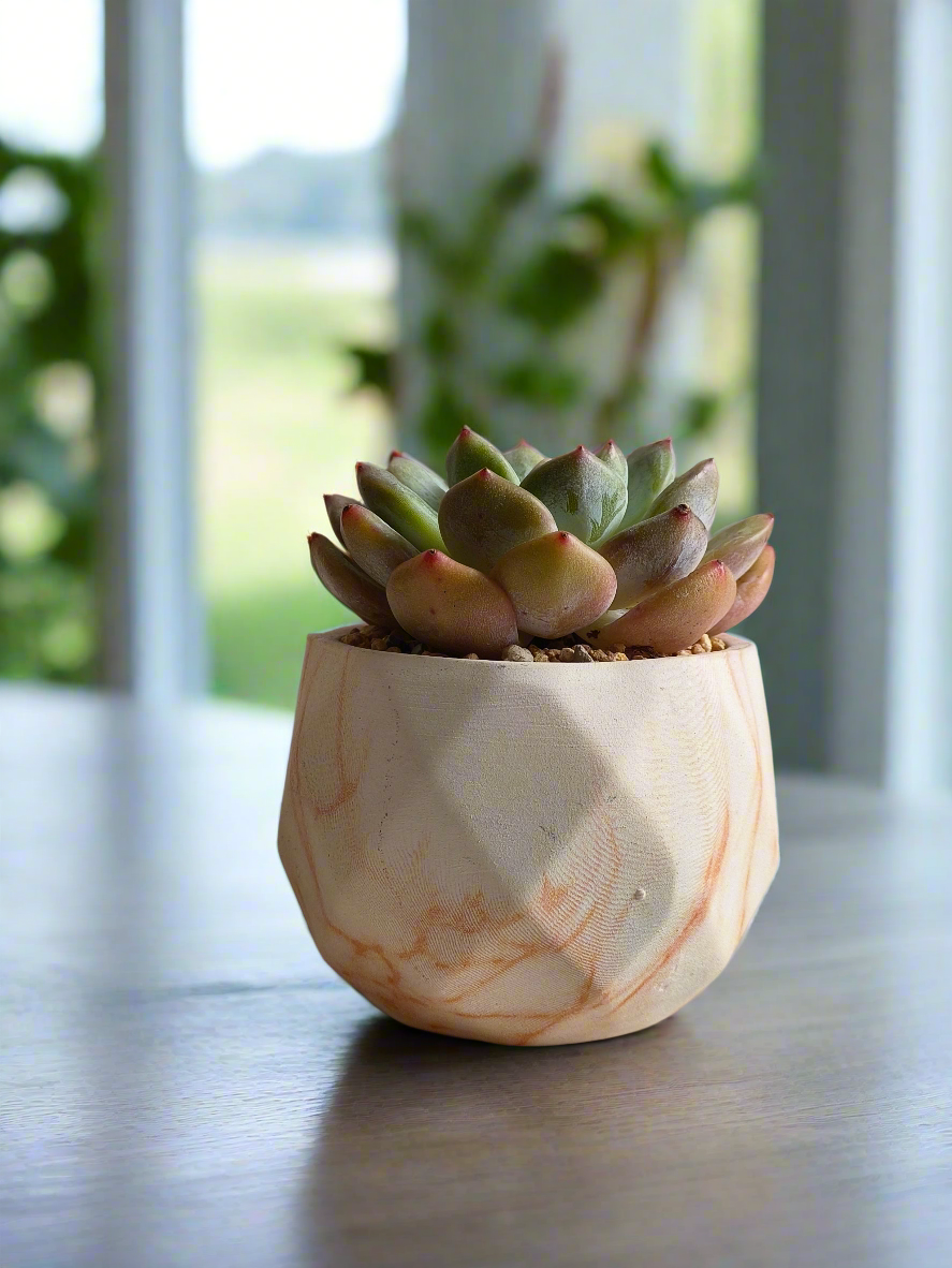 Mother’s Day Succulent Classic Marble Planter