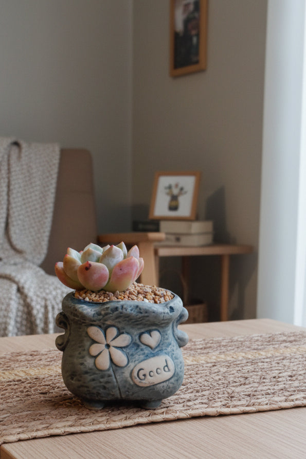 Rustic Bloom Succulent Planter – Echeveria 'Orange Monroe'