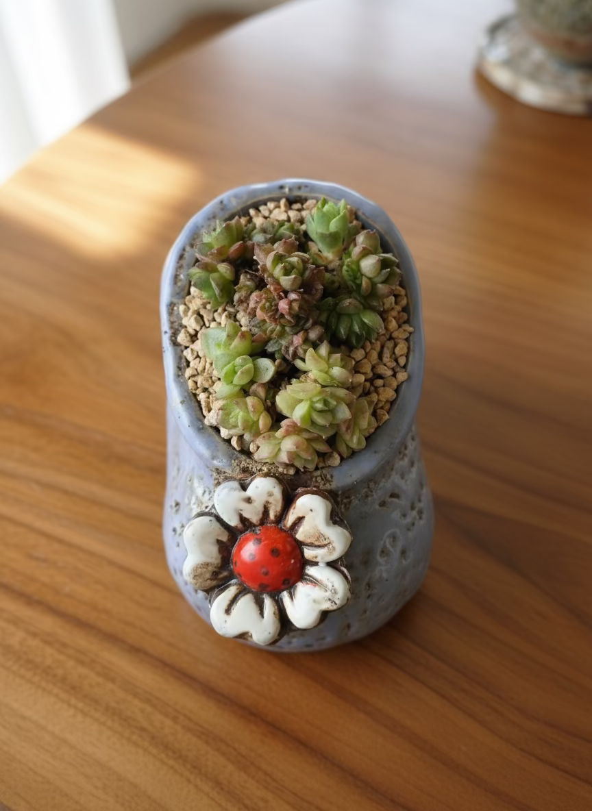 Succulent Mary Jane Charm Violet Planter - Cremnosedum 'Little Gem' - SlowBloomGreens