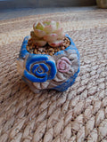 Rustic Bloom Succulent Planter – Echeveria hybrid - SlowBloomGreens