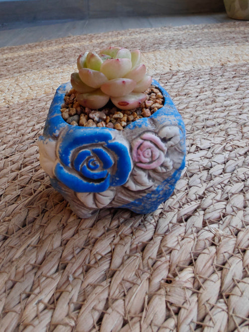 Rustic Bloom Succulent Planter – Echeveria hybrid - SlowBloomGreens