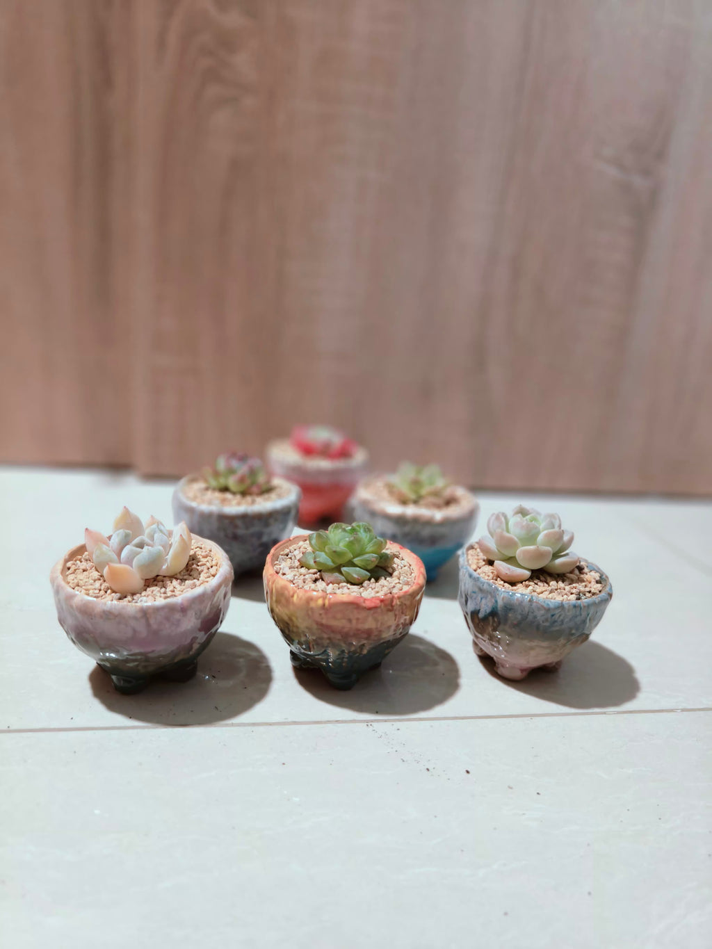 (Copy) (Copy) (Copy) (Copy) (Copy) (Copy) Succulent Lilac Ombre Rustic Planter – Egg Mountain Rose - SlowBloomGreens