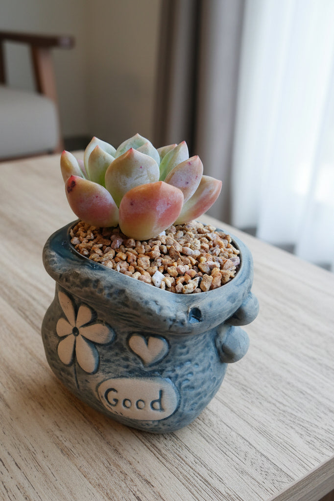 Rustic Bloom Succulent Planter – Echeveria 'Orange Monroe'