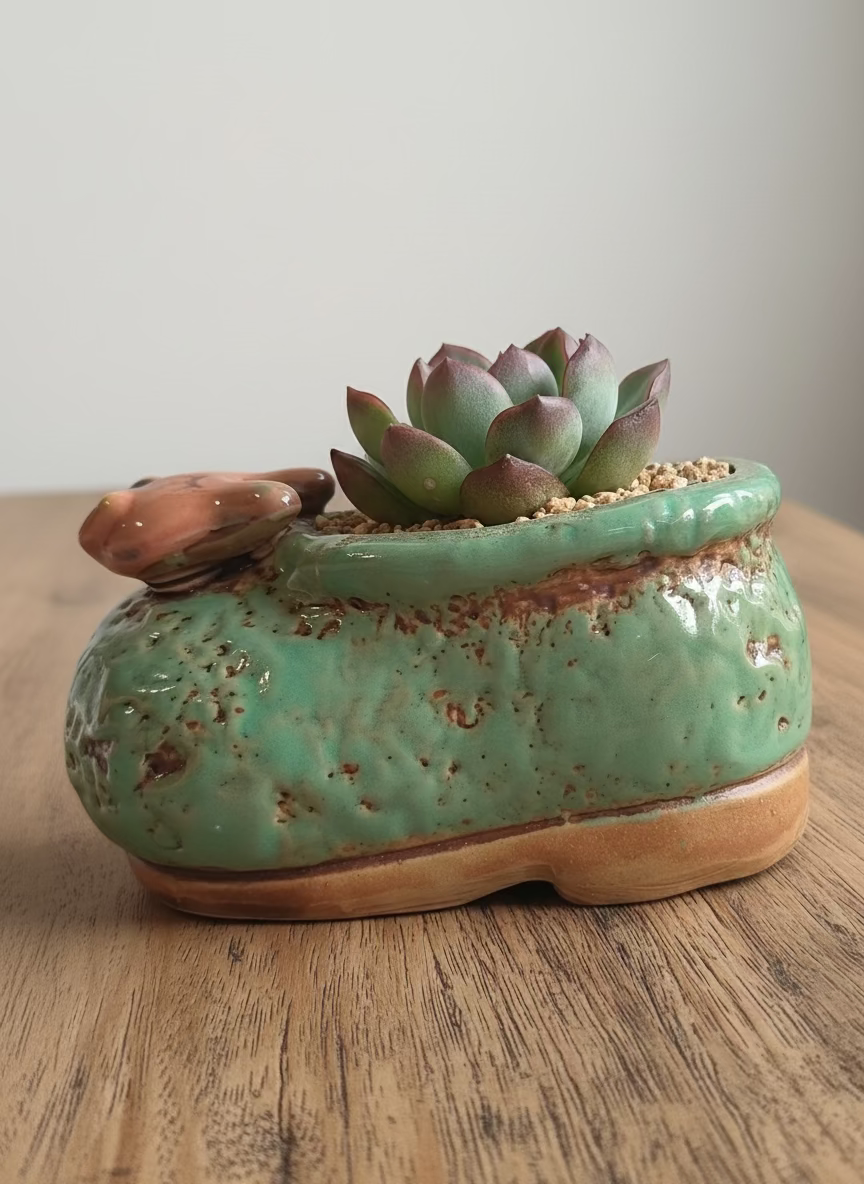 Succulent Mary Jane Charm Green Planter – Echeveria Suryeon - SlowBloomGreens