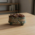 Vintage Teal Succulent Planter – Sempervivum 'Stansfieldii' (Hens & Chicks') - SlowBloomGreens