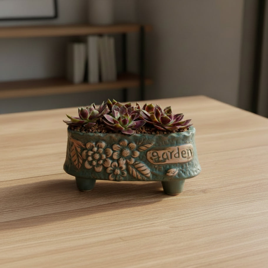 Vintage Teal Succulent Planter – Sempervivum 'Stansfieldii' (Hens & Chicks')