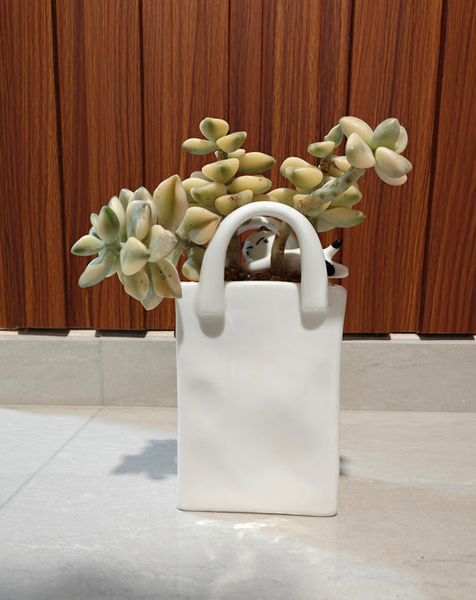 Succulent Tote Planter – Graptoveria ‘Titubans’ (4-Stalk Cluster)