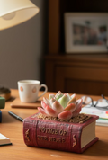 Succulent Book Nook – Echeveria Orange Monroe - SlowBloomGreens